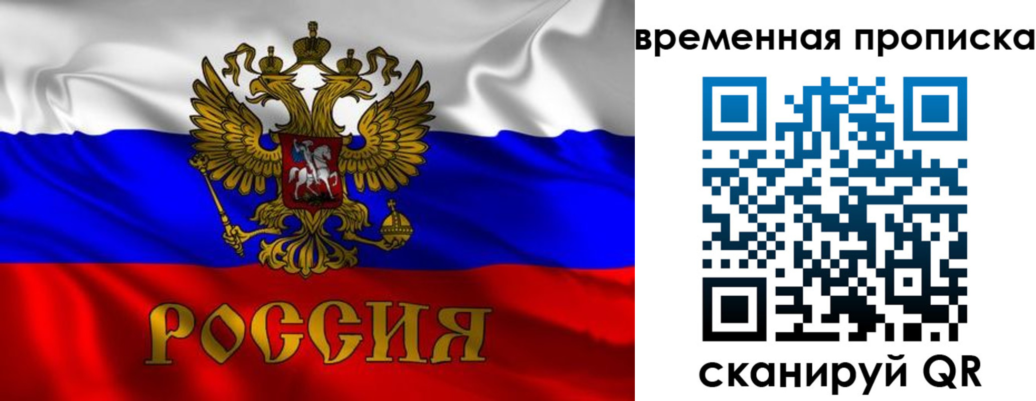 прописка законно в Дрезне